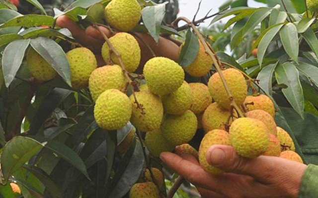 Đọc nhanh bài viết #1183871