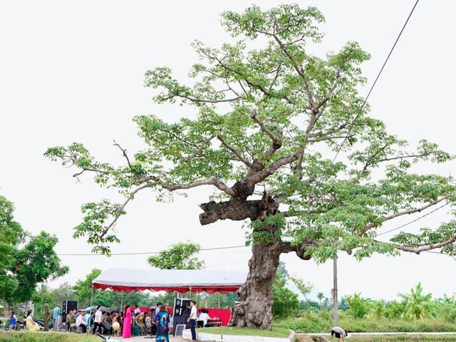 Đọc nhanh bài viết #1184499