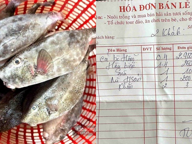 Đọc nhanh bài viết #1185573