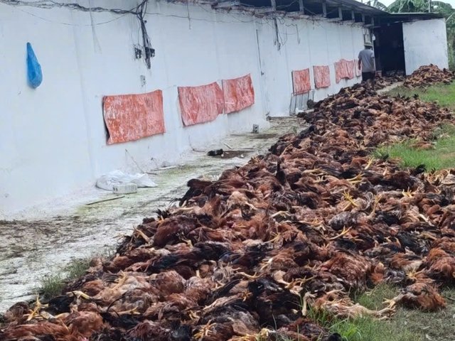 Đọc nhanh bài viết #1185691