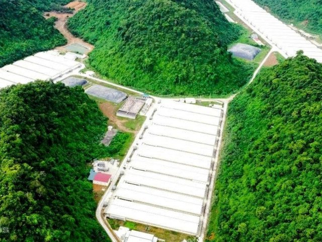 Đọc nhanh tin nổi bật 1186471