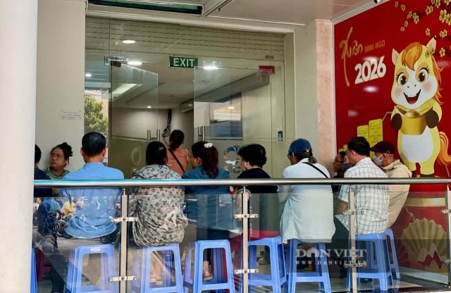 Đọc nhanh bài viết #1187100
