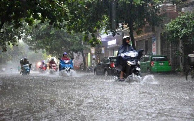 Đọc nhanh bài viết #1187584