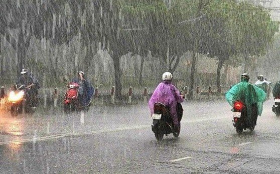 Đọc nhanh bài viết #1187945