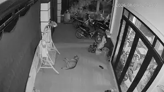 Đọc nhanh bài viết #1188841