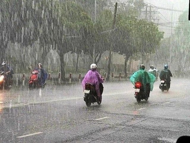 Đọc nhanh bài viết #1190308