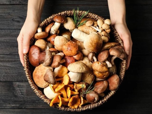 Đọc nhanh bài viết #1190653