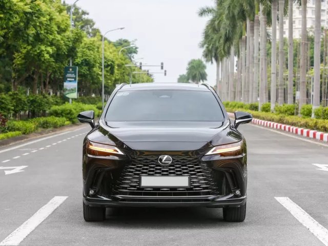 Đọc nhanh bài viết #1190852