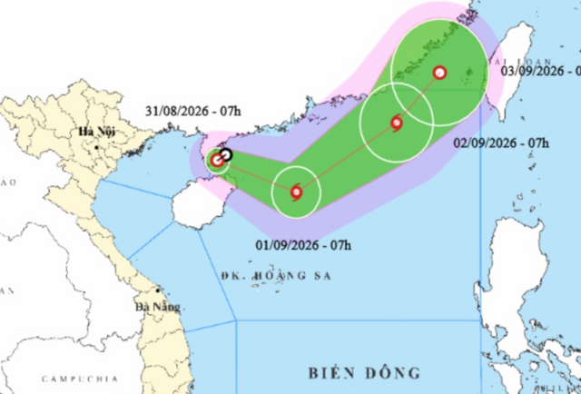 Đọc nhanh bài viết #1191124