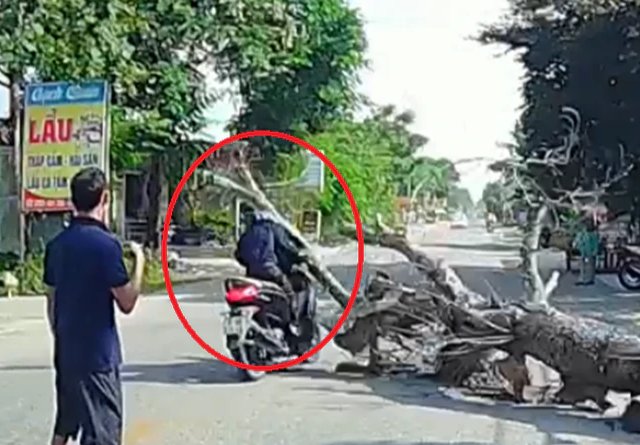 Đọc nhanh bài viết #1192065