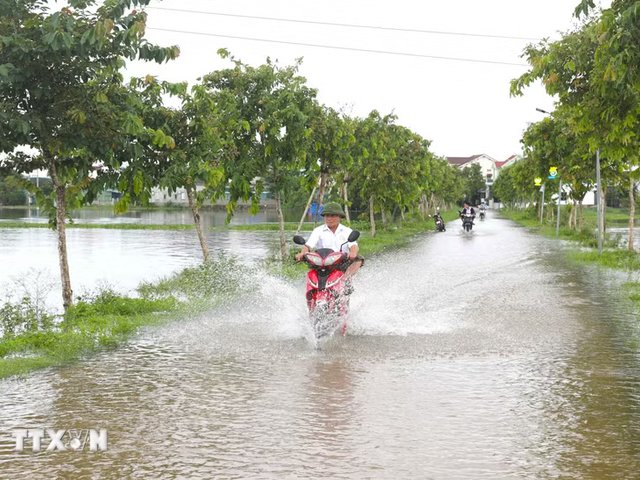Đọc nhanh bài viết #1193267