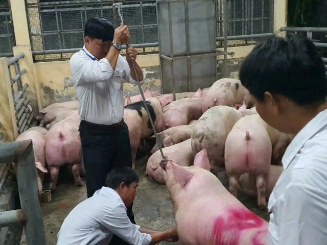 Đọc nhanh tin nổi bật 1194763