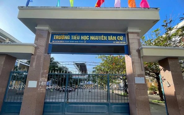 Đọc nhanh bài viết #1195897