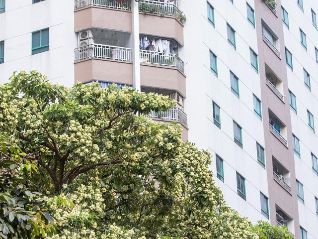 Đọc nhanh tin nổi bật 1196128