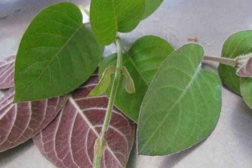 Đọc nhanh bài viết #1196825